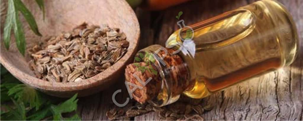 Celery Seed Natural Oil
